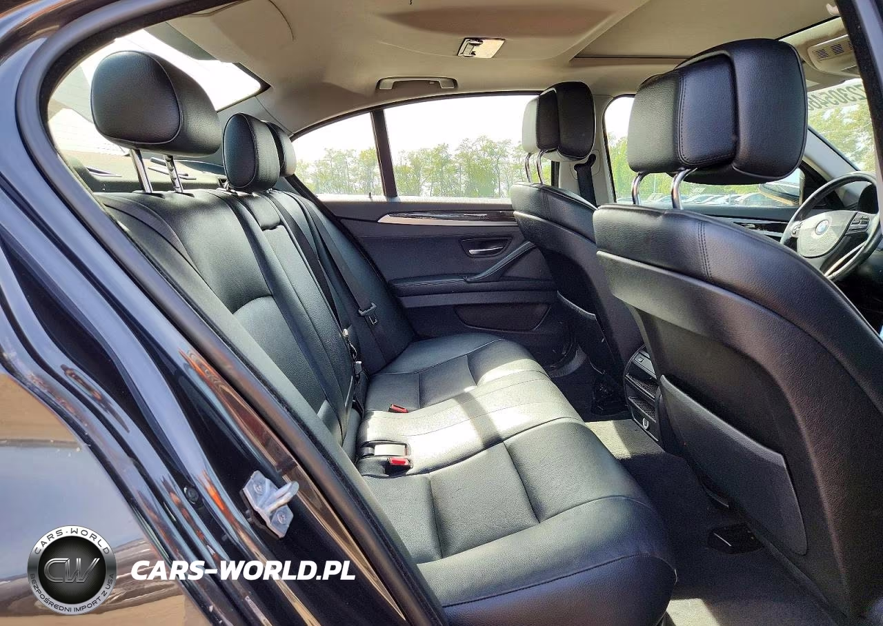 2013 BMW 528 Xi VIN:WBAXH5C55DD114793 - 10