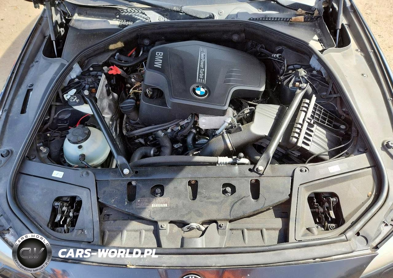 2013 BMW 528 Xi VIN:WBAXH5C55DD114793 - 11