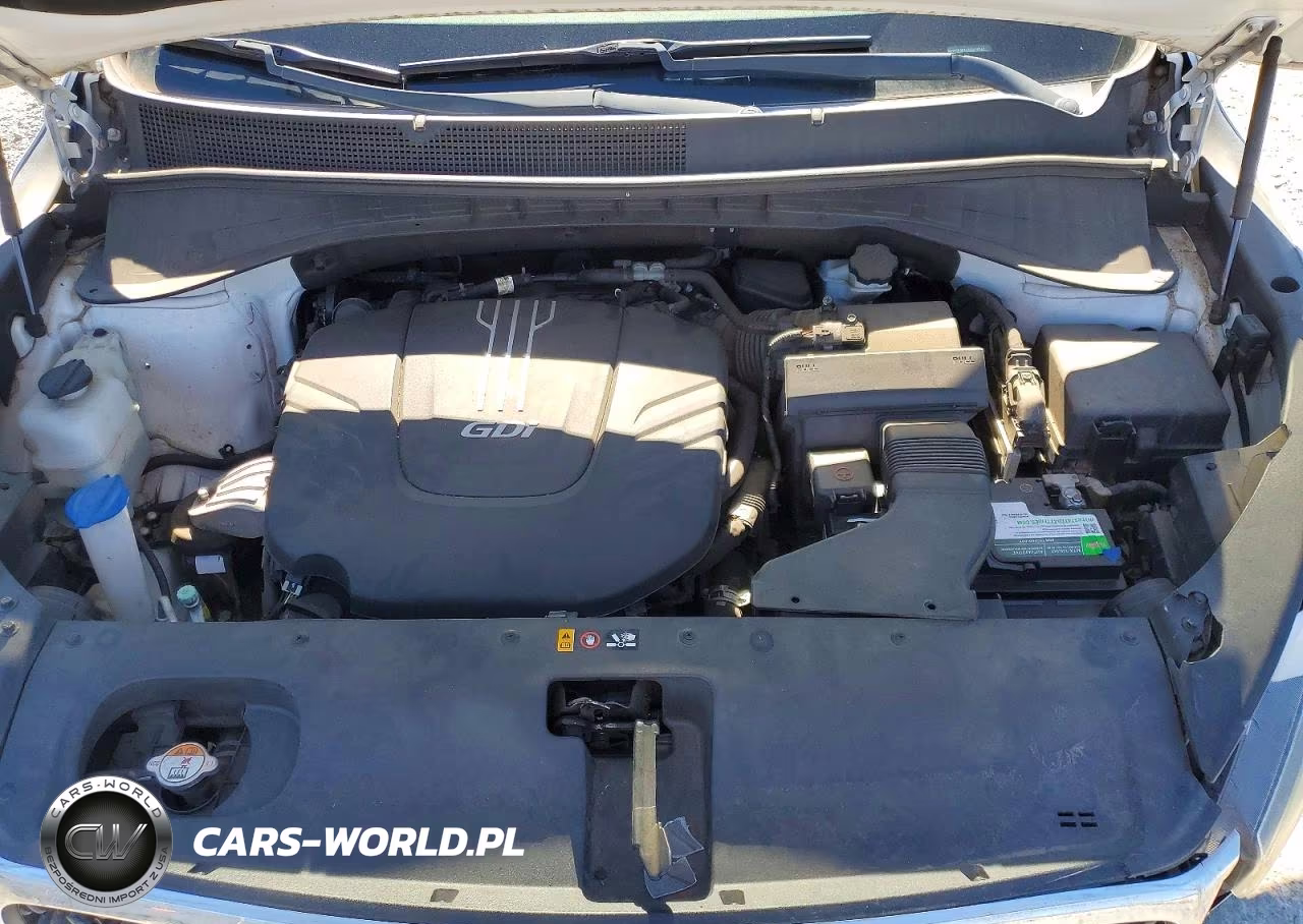 2016 Kia Sorento Lx V6 VIN:5XYPGDA52GG008567 - 12