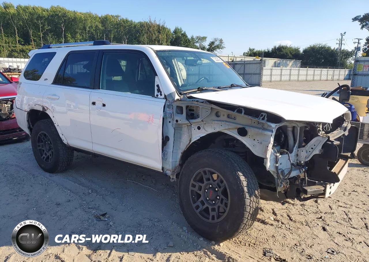 2019 Toyota 4Runner Sr5 Premium VIN:JTEBU5JR5K5651553 - 4