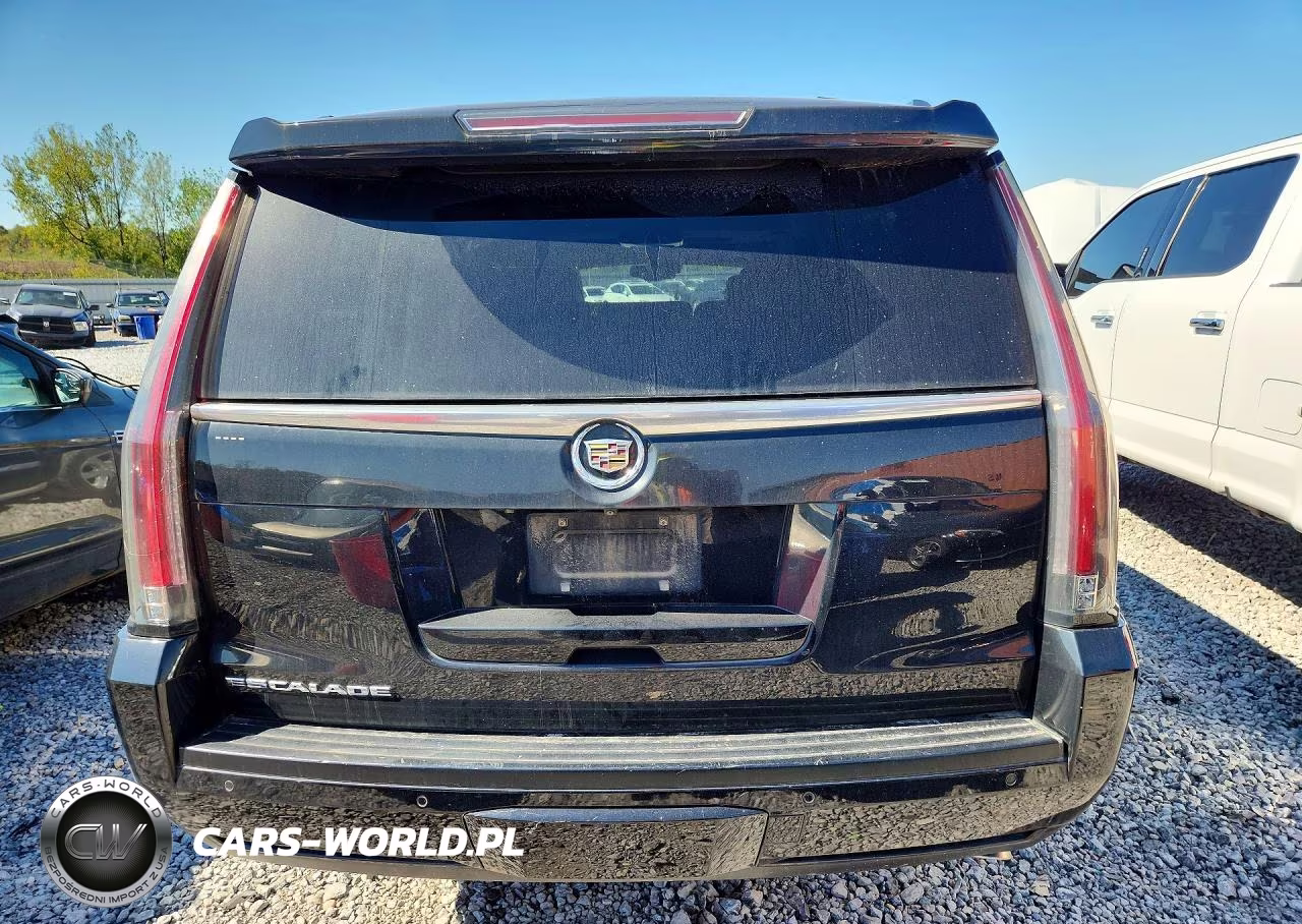 2015 Cadillac Escalade Esv Luxury VIN:1GYS3HKJ9FR257595 - 6
