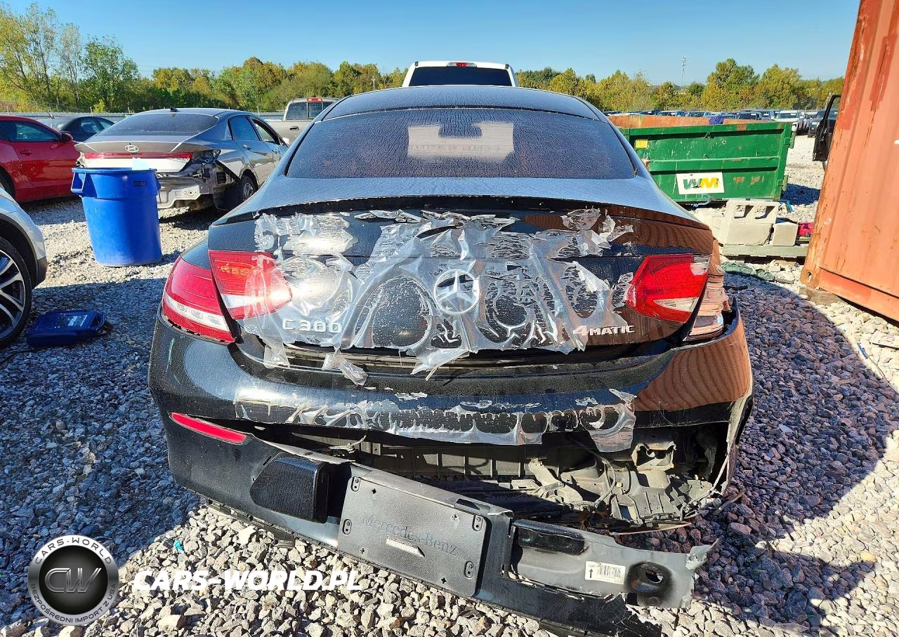 2017 Mercedes-Benz C 300 4Matic VIN:WDDWJ4KB9HF523285 - 6