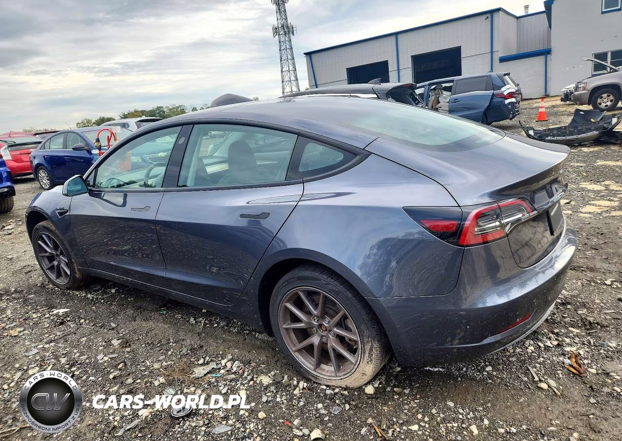2023 Tesla Model 3 VIN:5YJ3E1EA3PF667419 - 2