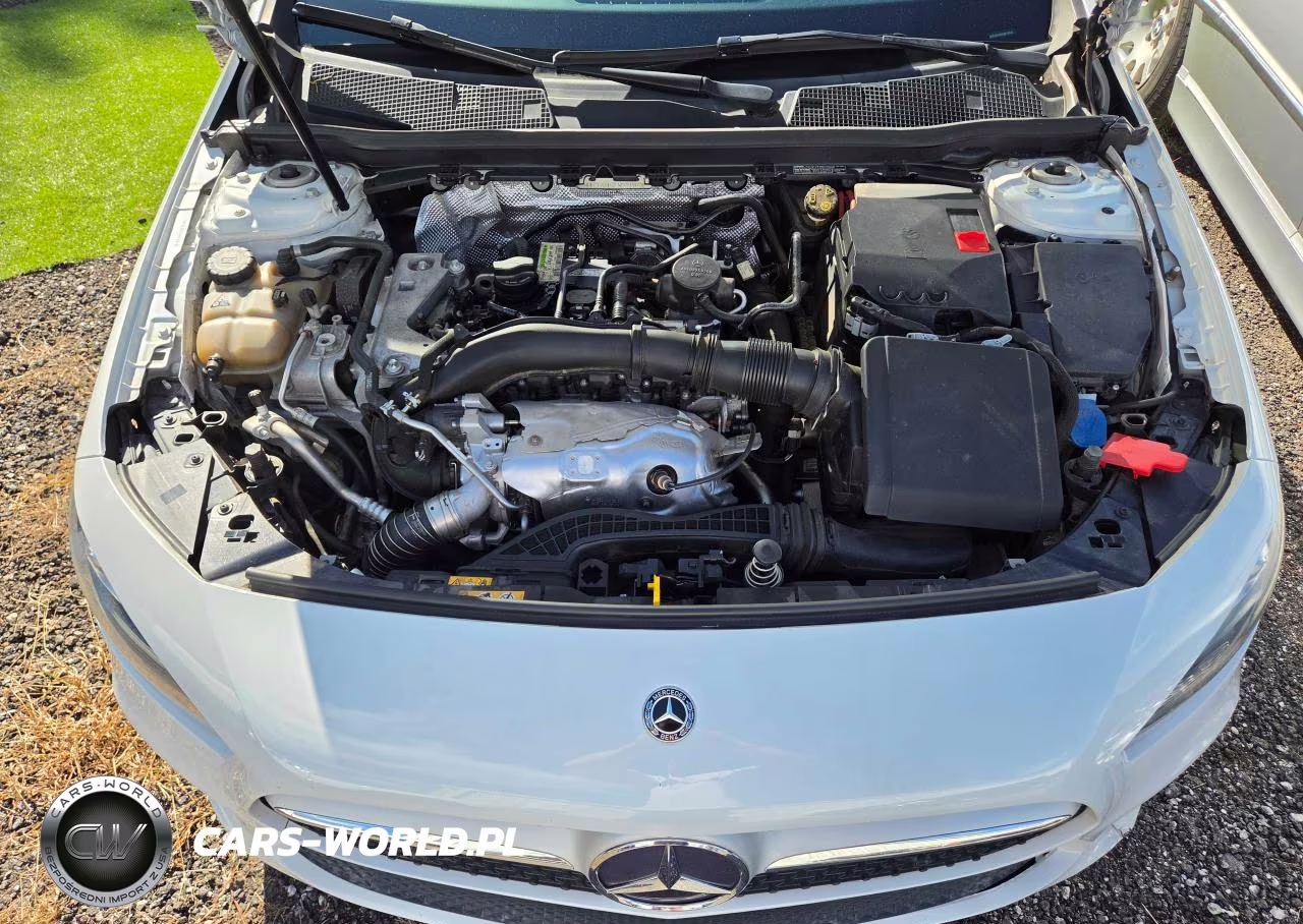 2020 Mercedes-Benz A 220 VIN:WDD3G4EB9LW039462 - 7