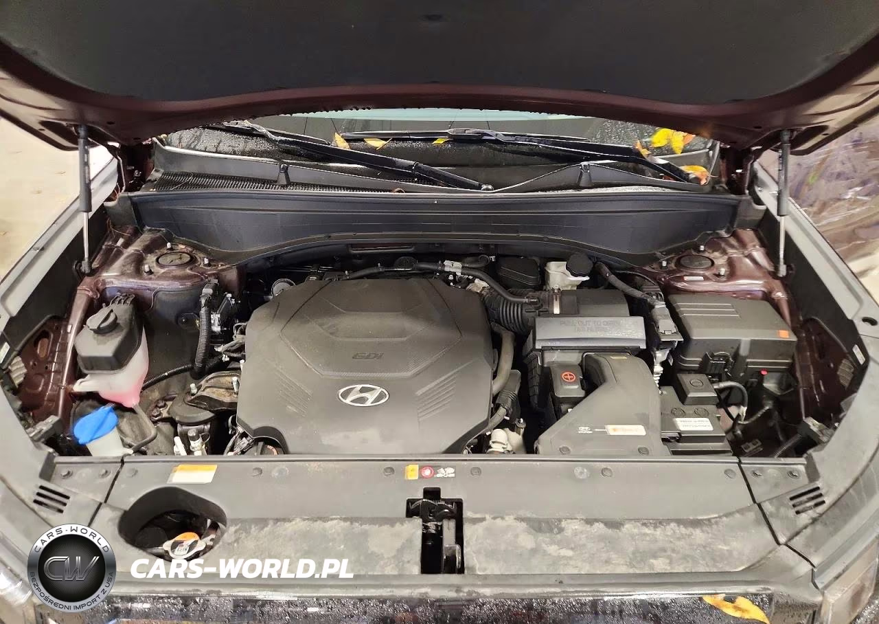 2023 Hyundai Palisade Limited VIN:KM8R5DGE9PU637176 - 12