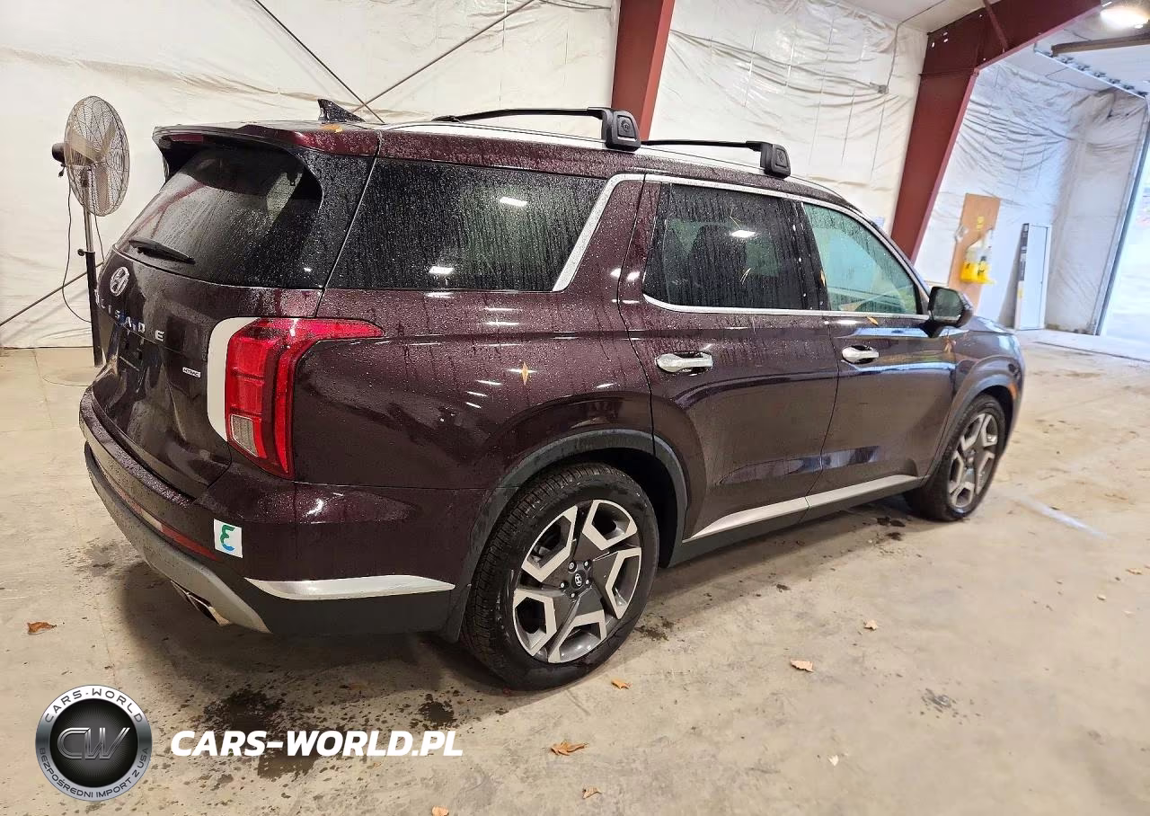 2023 Hyundai Palisade Limited VIN:KM8R5DGE9PU637176 - 3
