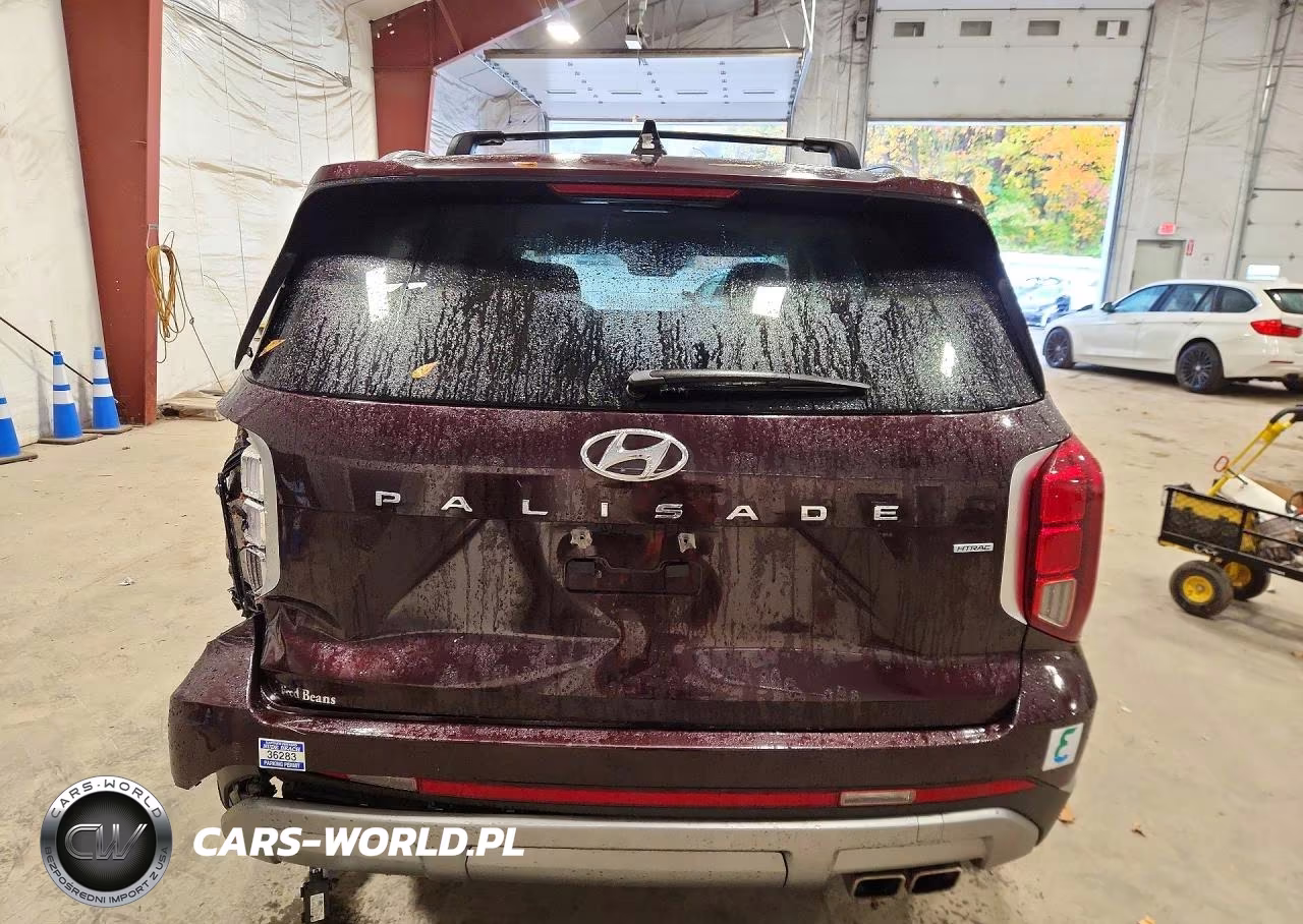 2023 Hyundai Palisade Limited VIN:KM8R5DGE9PU637176 - 6