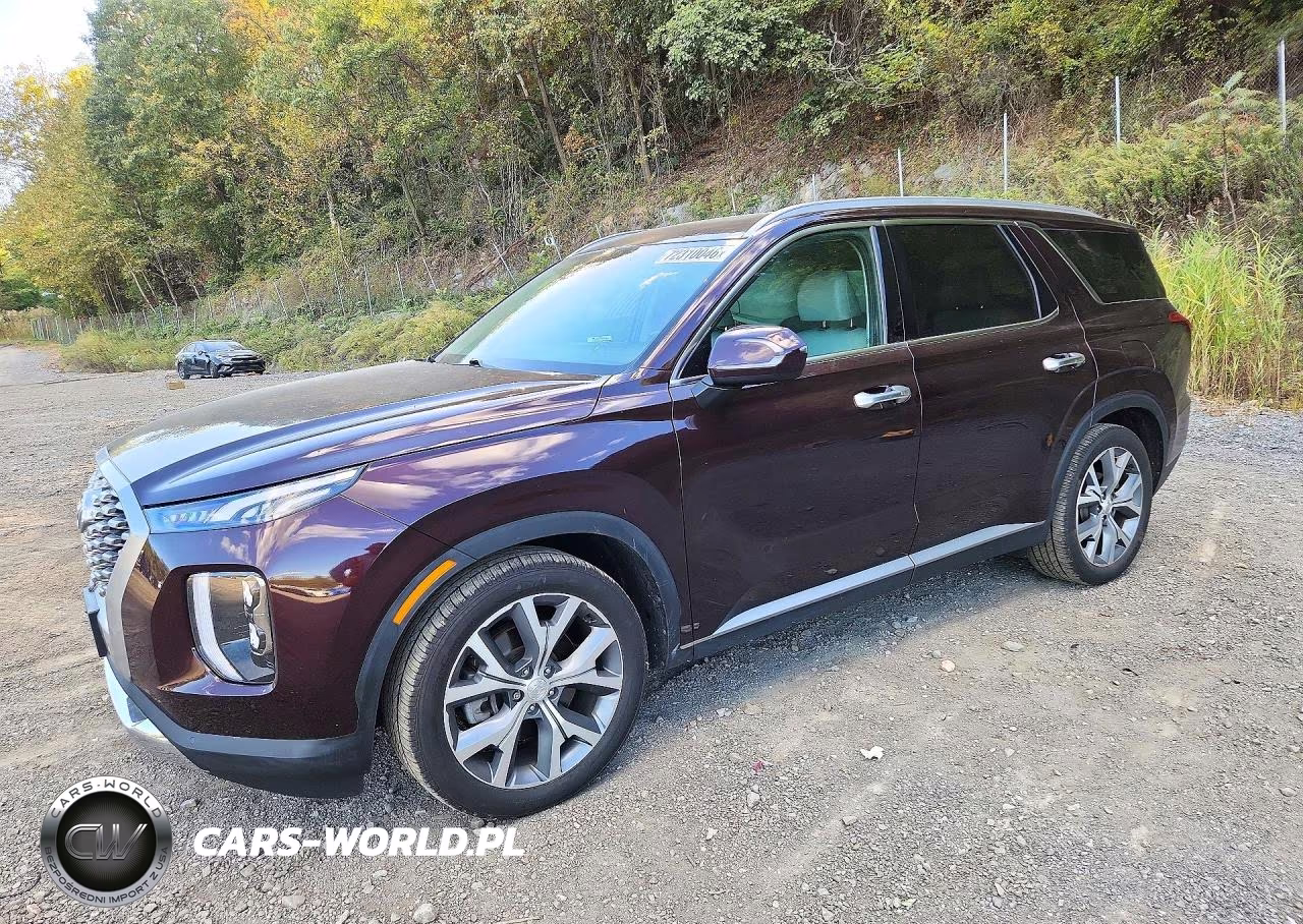 2021 Hyundai Palisade Sel VIN:KM8R4DHE5MU254753 - 1