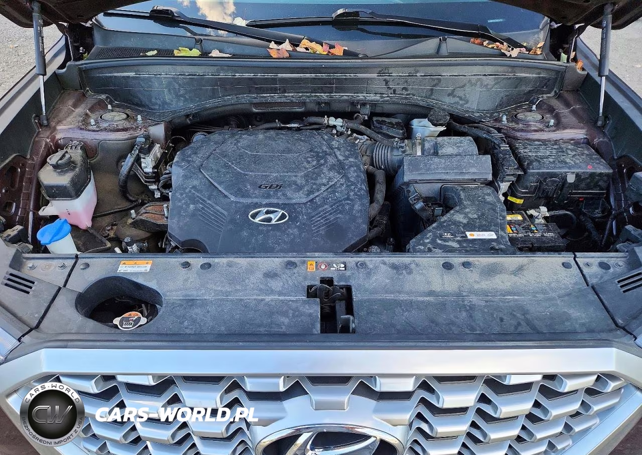 2021 Hyundai Palisade Sel VIN:KM8R4DHE5MU254753 - 12