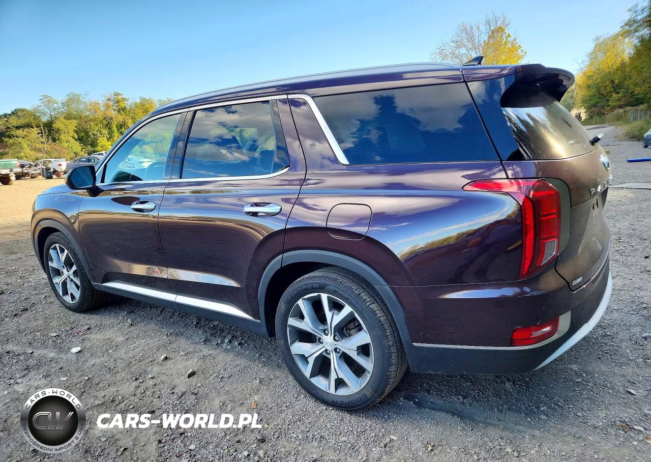 2021 Hyundai Palisade Sel VIN:KM8R4DHE5MU254753 - 2