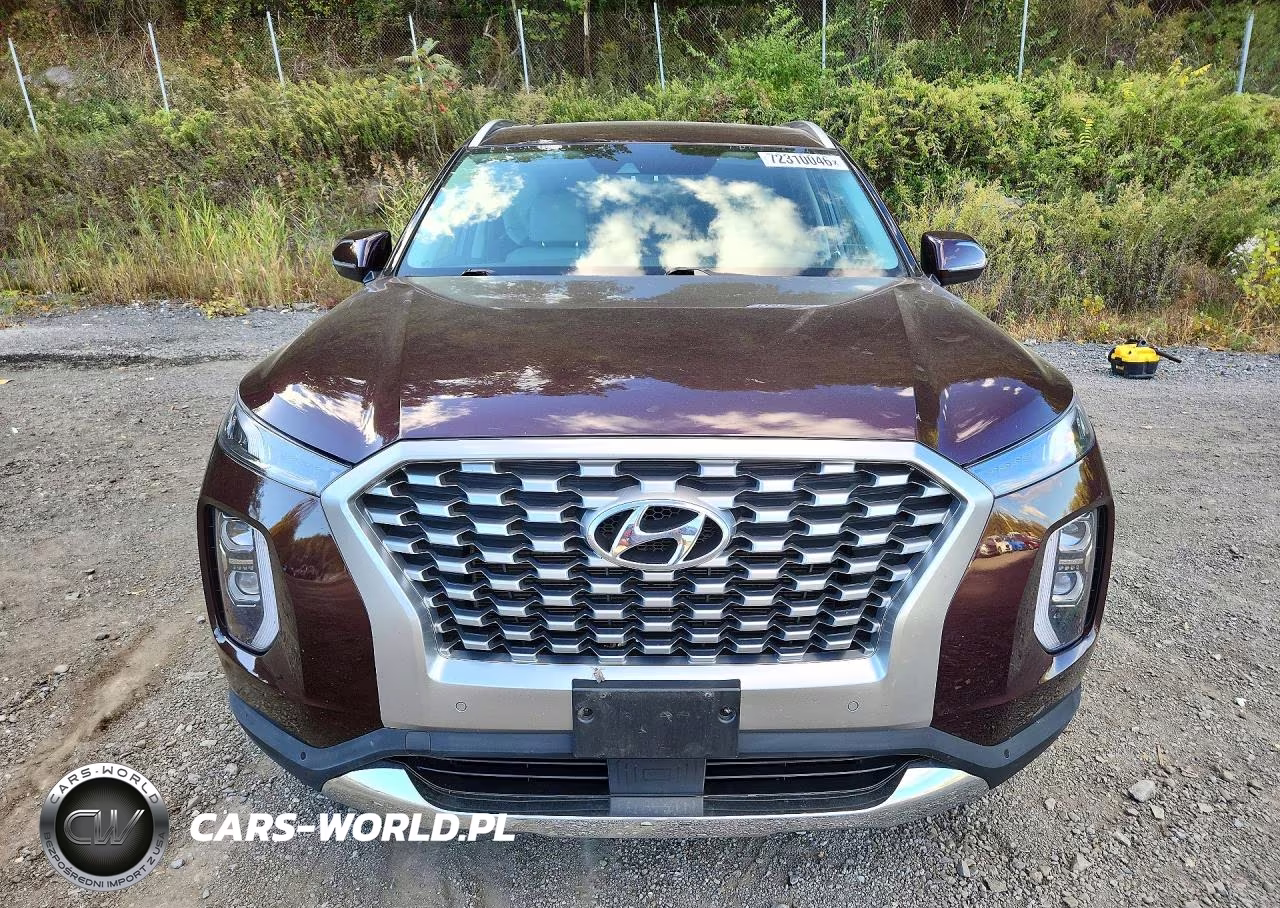 2021 Hyundai Palisade Sel VIN:KM8R4DHE5MU254753 - 5