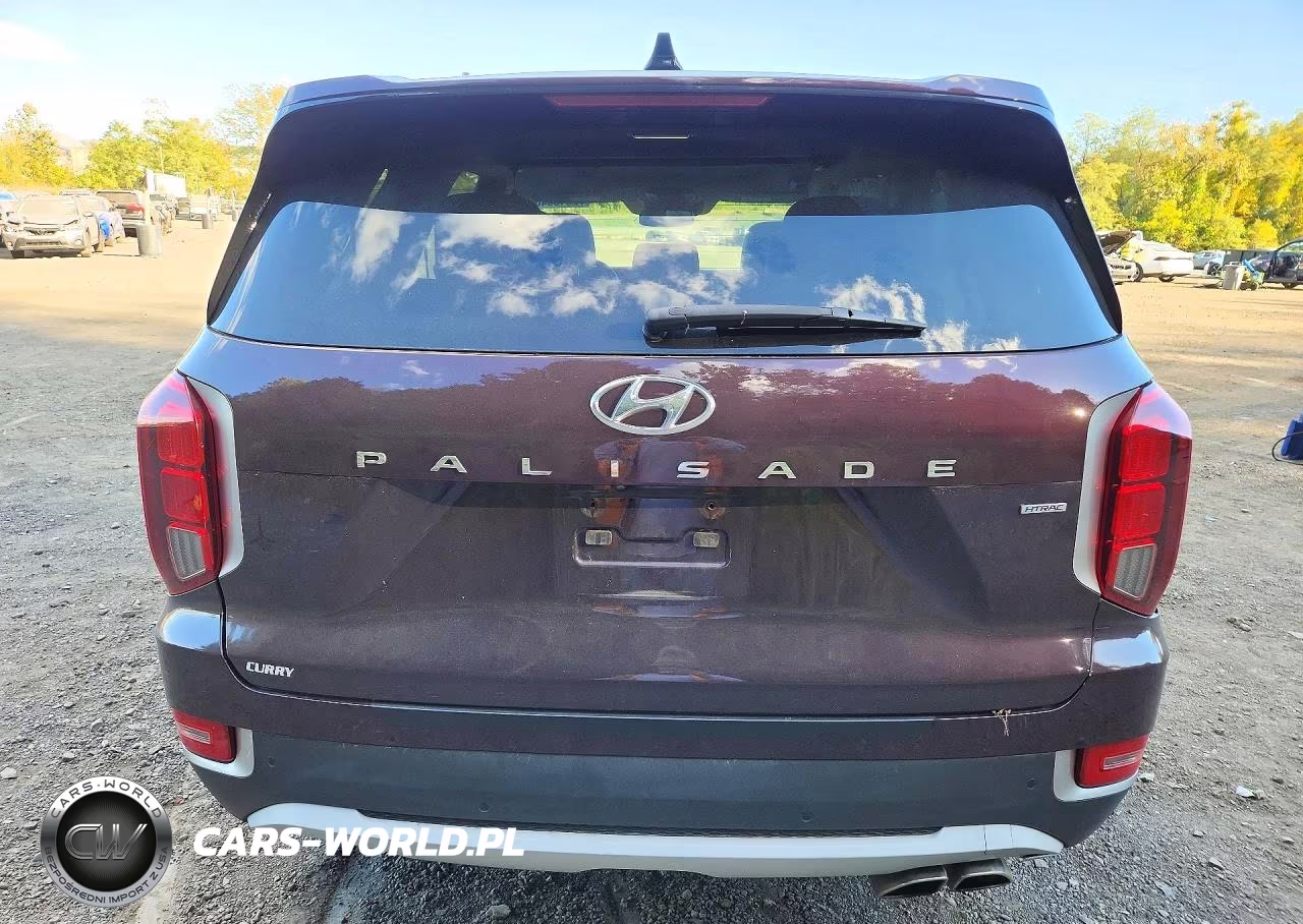 2021 Hyundai Palisade Sel VIN:KM8R4DHE5MU254753 - 6