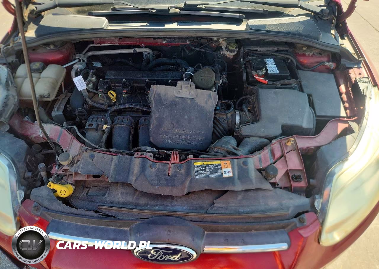 2014 Ford Focus Se VIN:1FADP3K29EL161245 - 11