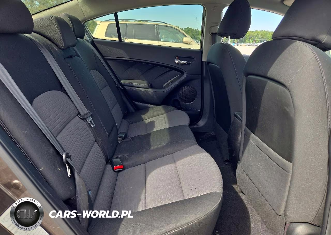 2014 Kia Forte Lx VIN:KNAFX4A6XE5096887 - 10