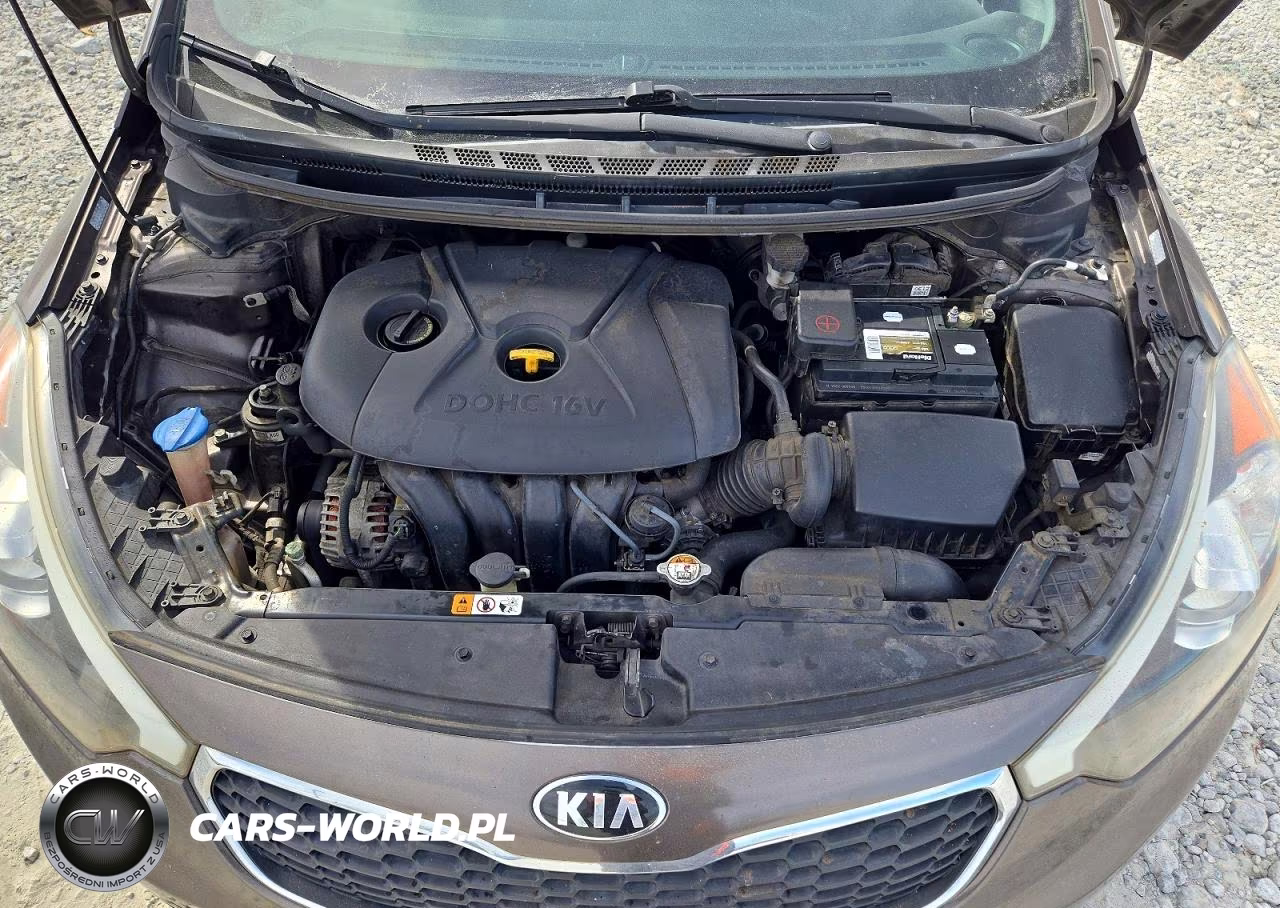 2014 Kia Forte Lx VIN:KNAFX4A6XE5096887 - 11