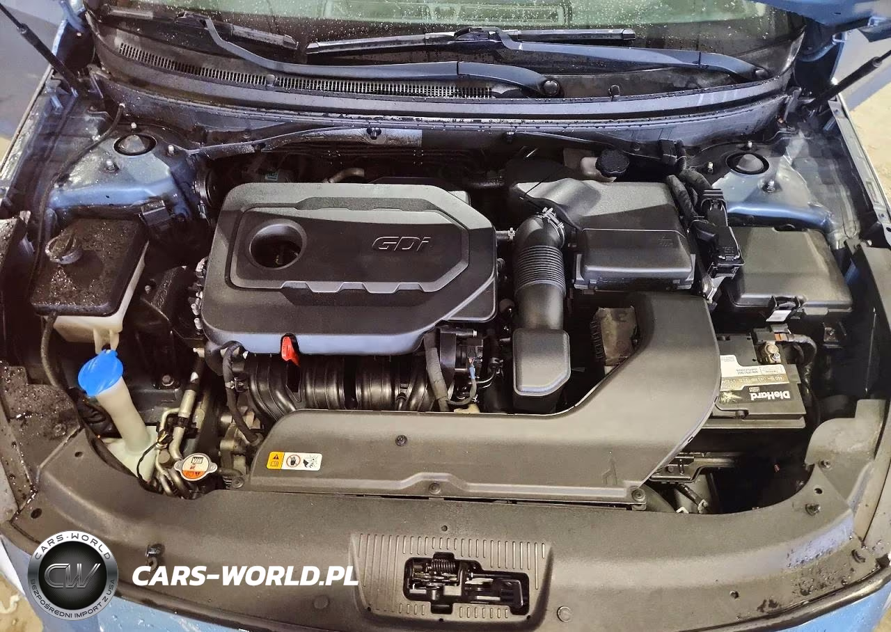 2016 Hyundai Sonata Se VIN:5NPE24AF3GH405597 - 11