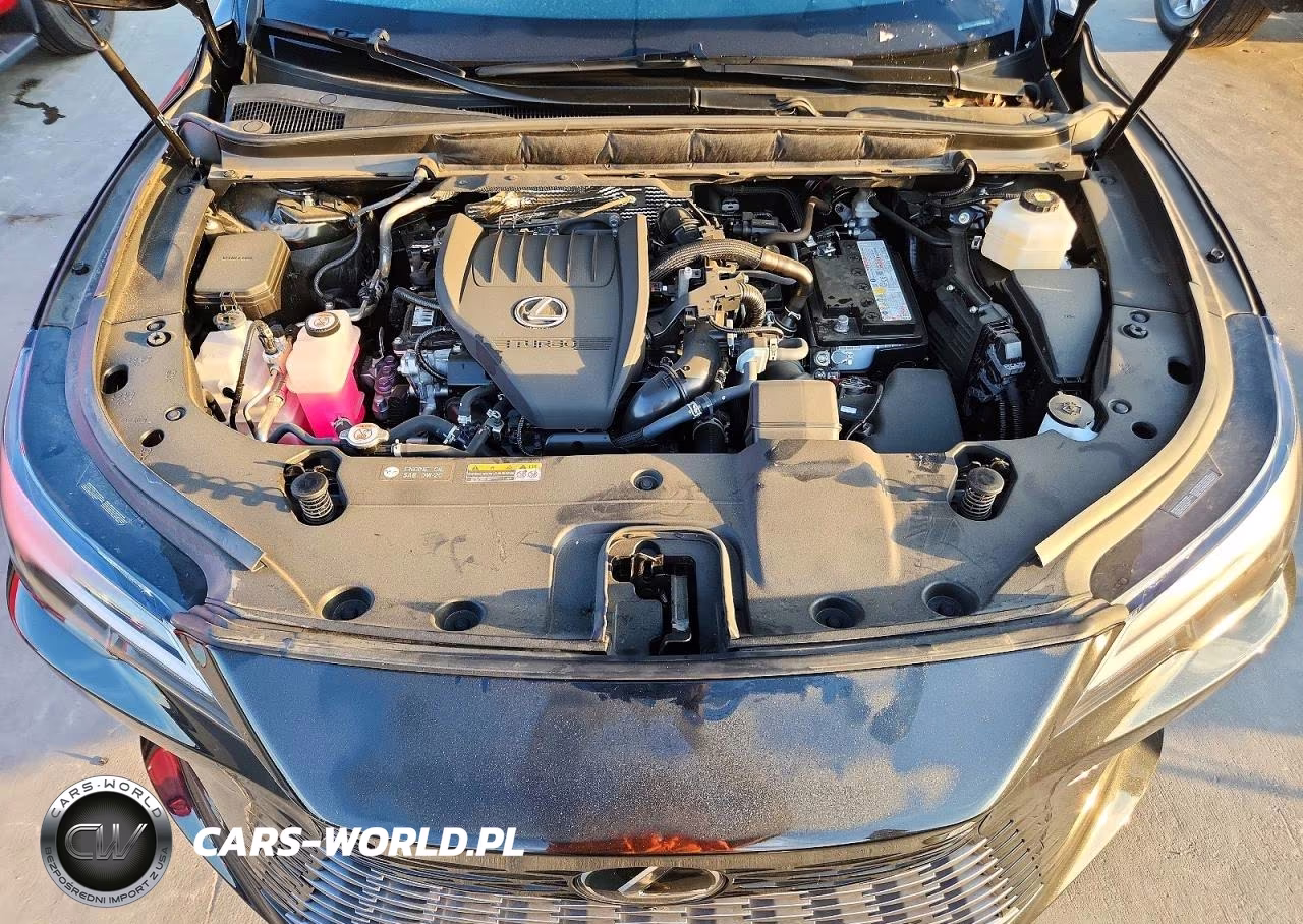 2025 Lexus Rx 350 Premium+ VIN:JTJCHMAA6S2031584 - 12
