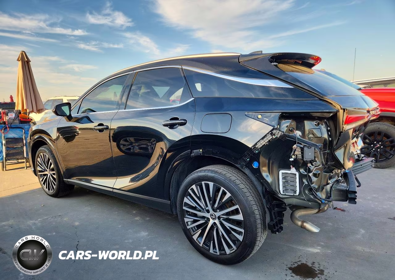 2025 Lexus Rx 350 Premium+ VIN:JTJCHMAA6S2031584 - 2