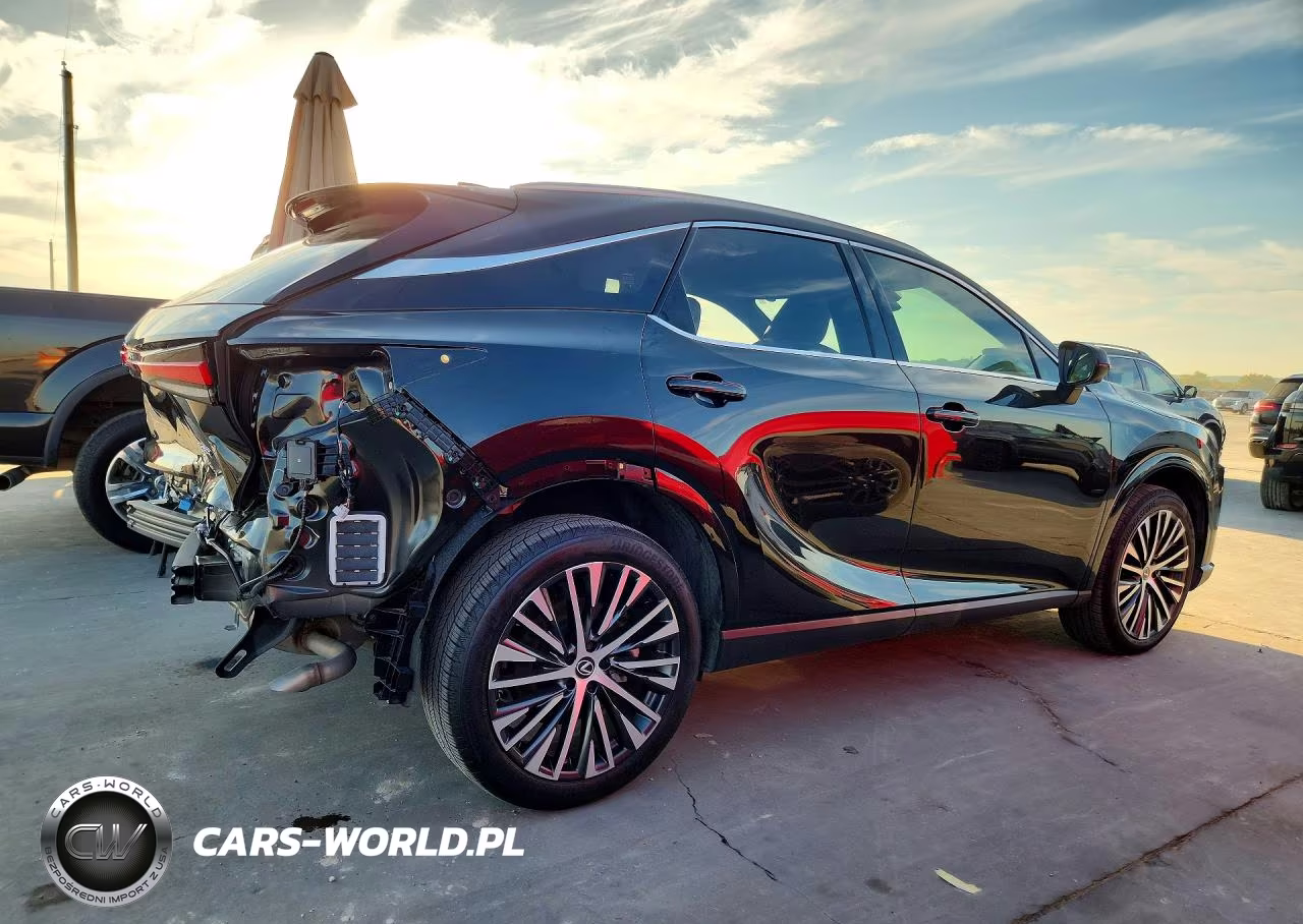 2025 Lexus Rx 350 Premium+ VIN:JTJCHMAA6S2031584 - 3