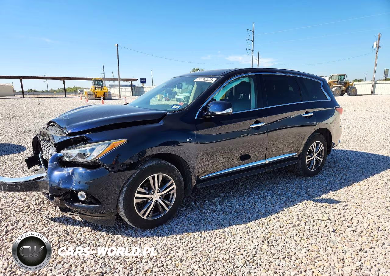 2019 Infiniti Qx60 Pure VIN:5N1DL0MM4KC566486 - 1
