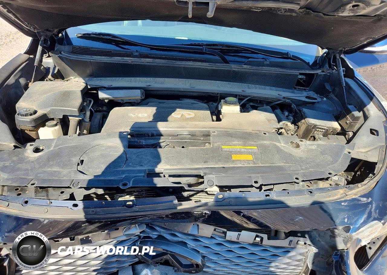 2019 Infiniti Qx60 Pure VIN:5N1DL0MM4KC566486 - 12