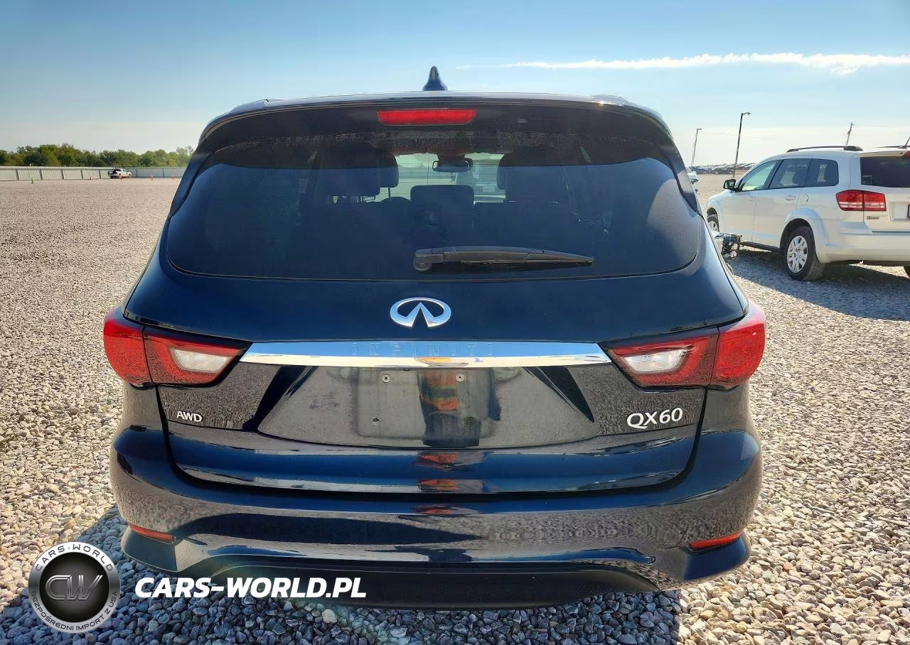 2019 Infiniti Qx60 Pure VIN:5N1DL0MM4KC566486 - 6