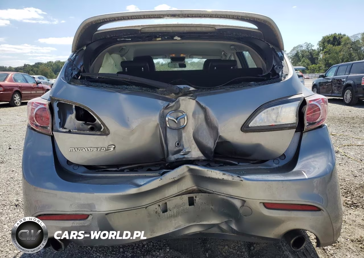 2010 Mazda Speed 3 VIN:JM1BL1H37A1247340 - 6