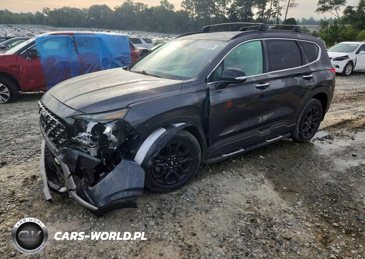 2022 Hyundai Santa Fe Xrt VIN:5NMS64AJ7NH399230 - 1
