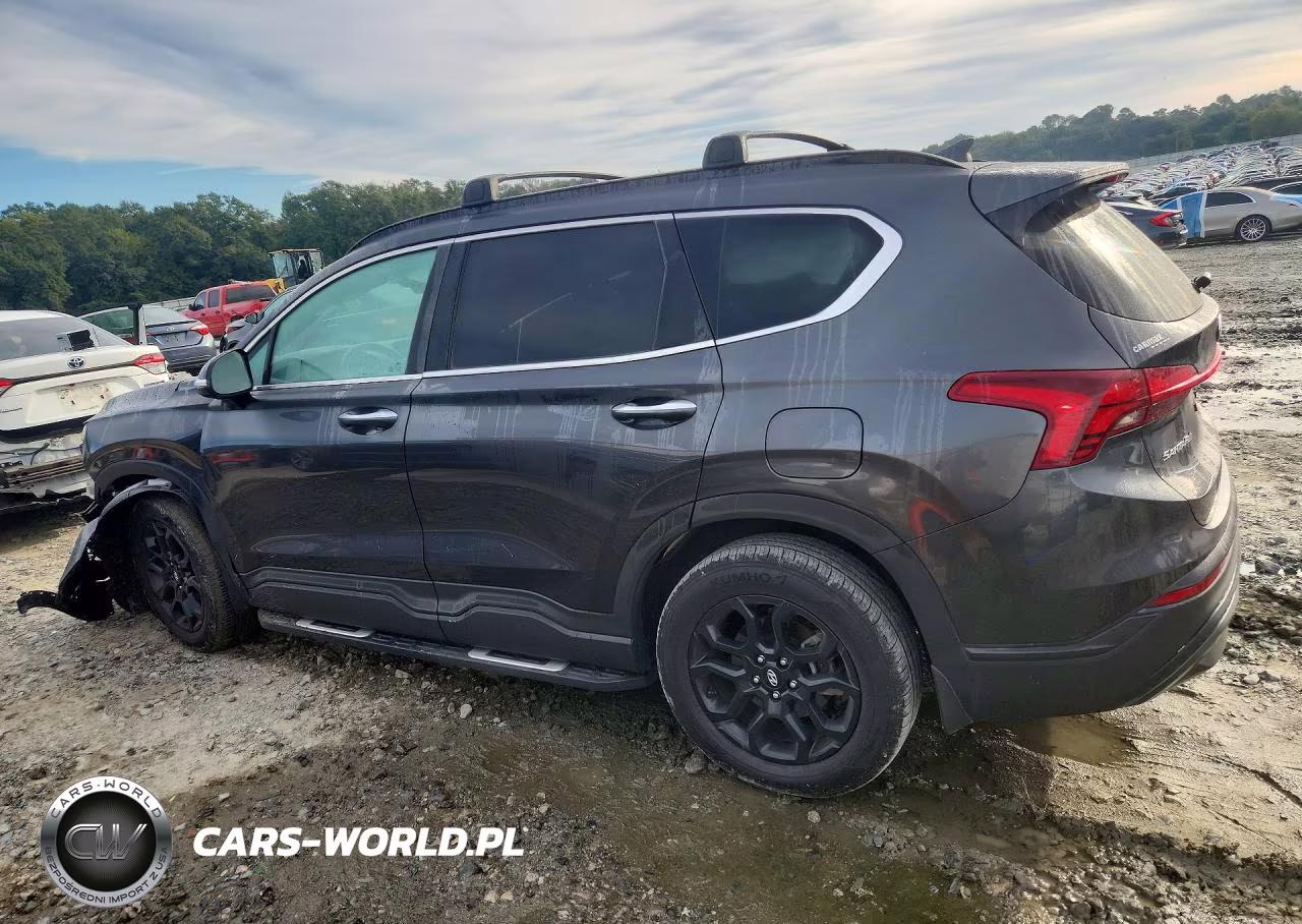 2022 Hyundai Santa Fe Xrt VIN:5NMS64AJ7NH399230 - 2