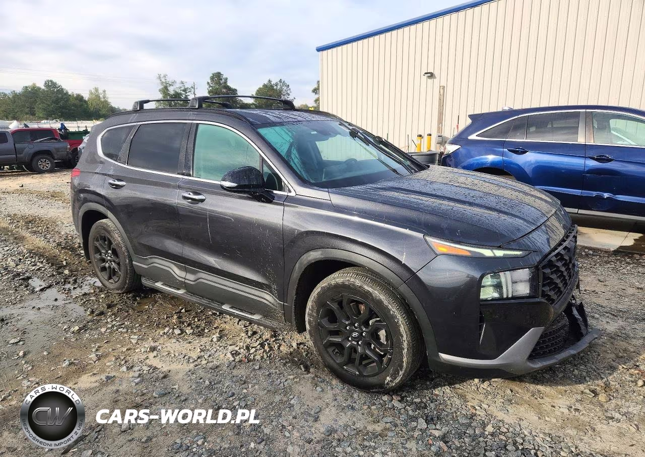 2022 Hyundai Santa Fe Xrt VIN:5NMS64AJ7NH399230 - 4