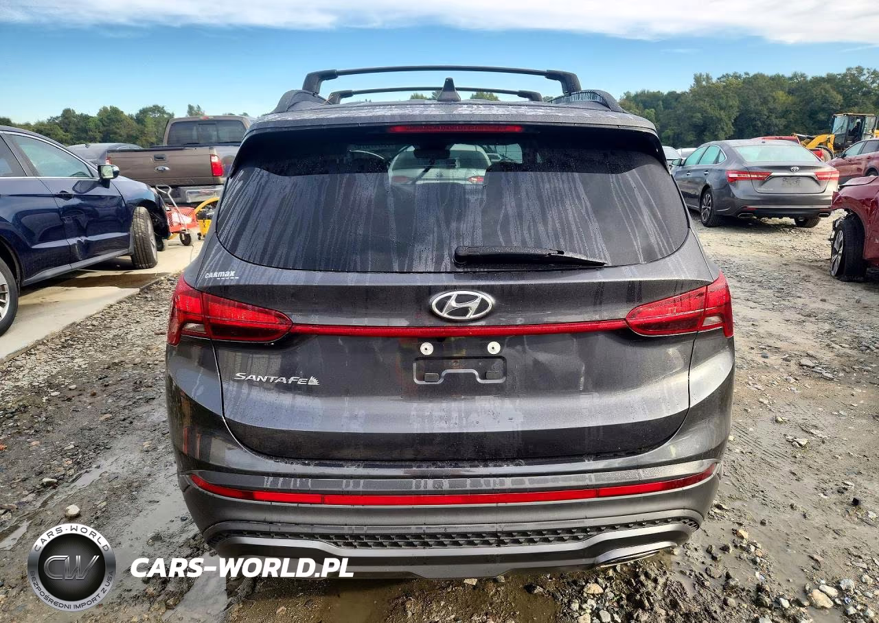 2022 Hyundai Santa Fe Xrt VIN:5NMS64AJ7NH399230 - 6
