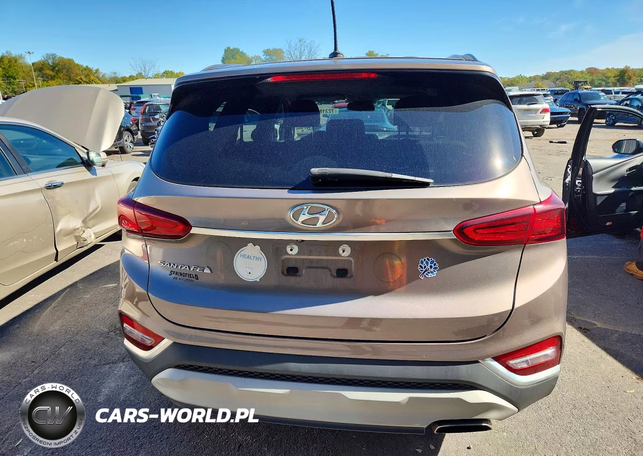 2019 Hyundai Santa Fe Se VIN:5NMS23AD9KH136538 - 6