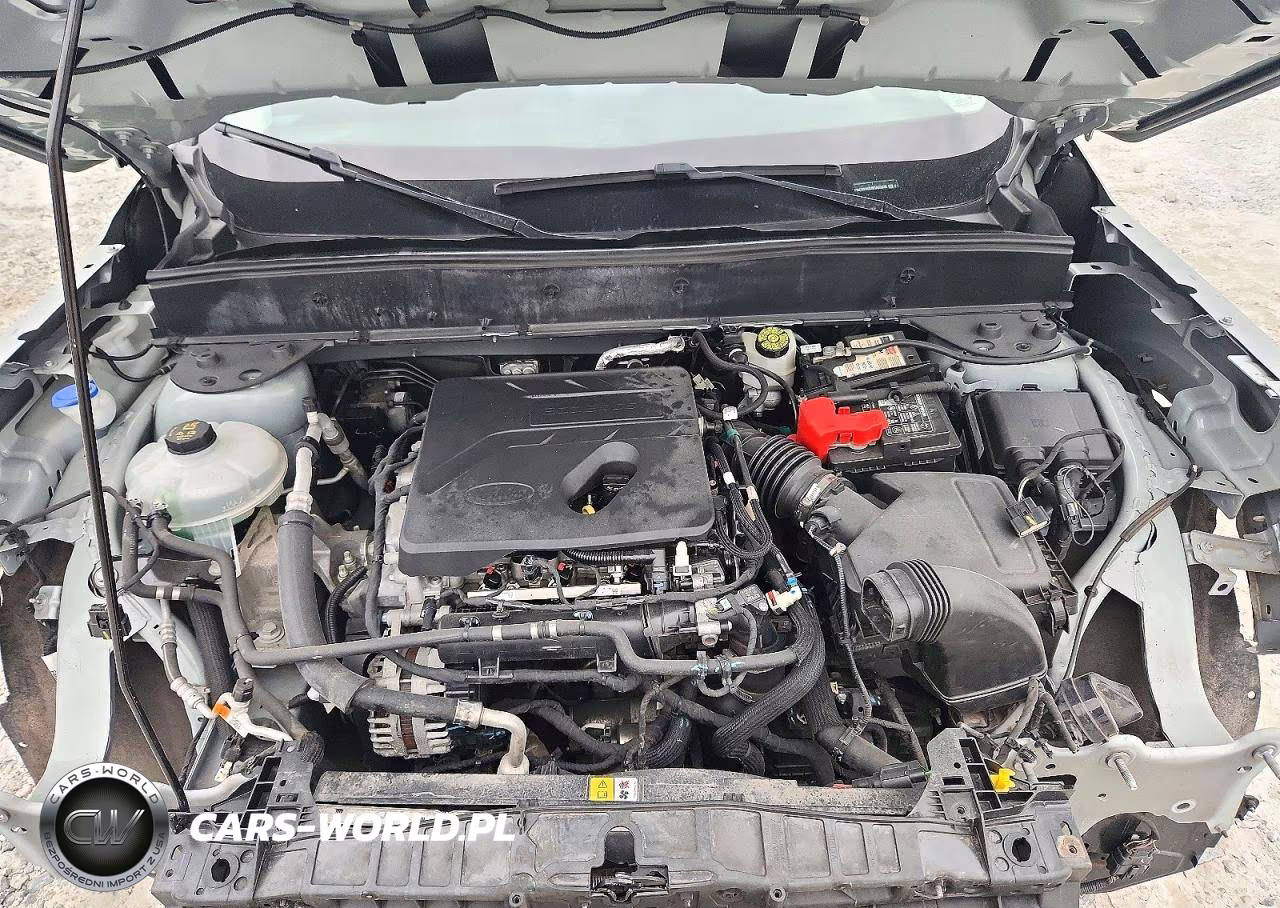 2021 Ford Bronco Sport Big Bend VIN:3FMCR9B68MRA00936 - 12