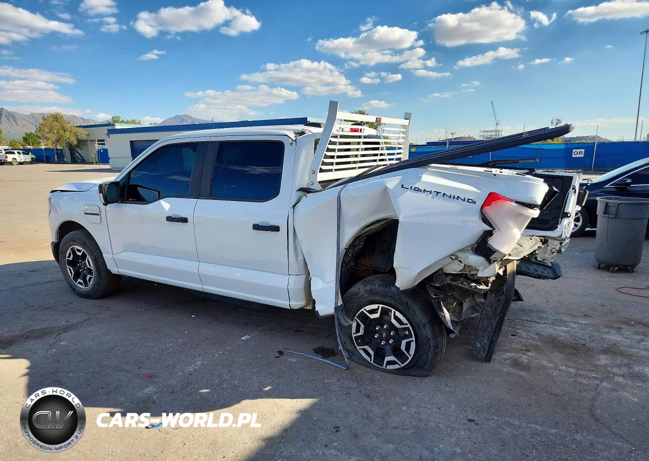2023 Ford F150 Lightning Pro VIN:1FTVW1EL6PWG41304 - 2