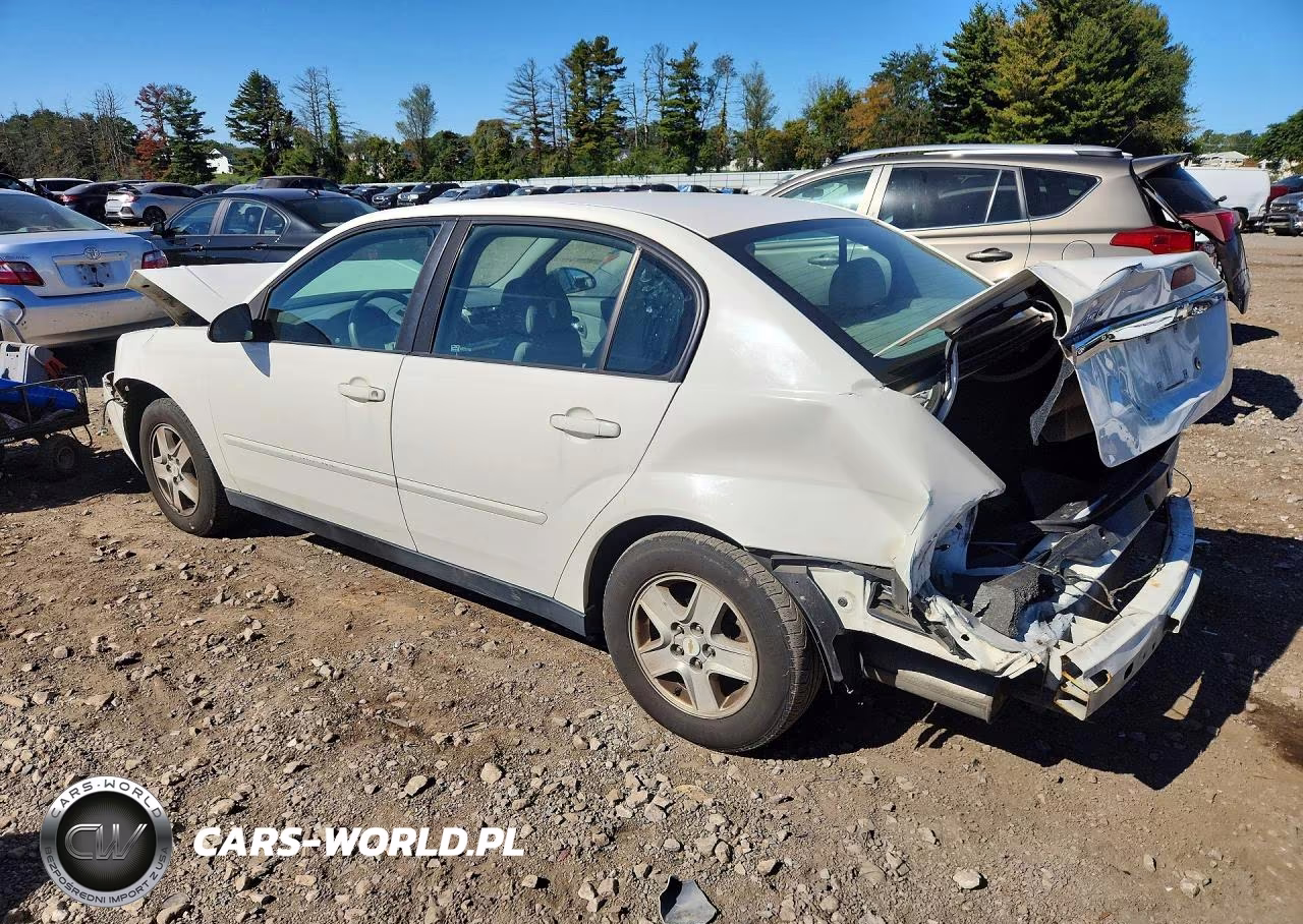 2005 Chevrolet Malibu Ls VIN:1G1ZT52865F339308 - 2