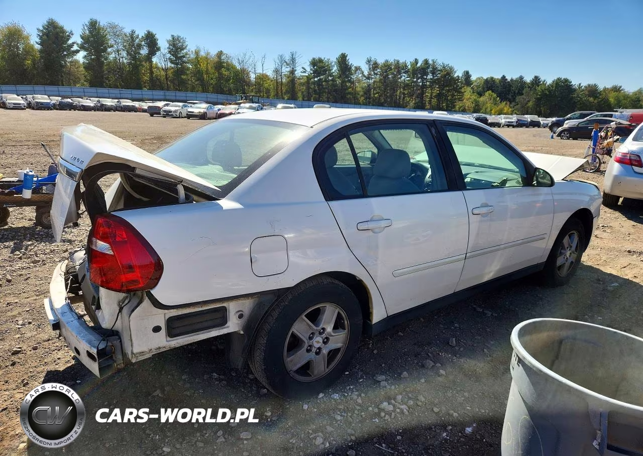 2005 Chevrolet Malibu Ls VIN:1G1ZT52865F339308 - 3