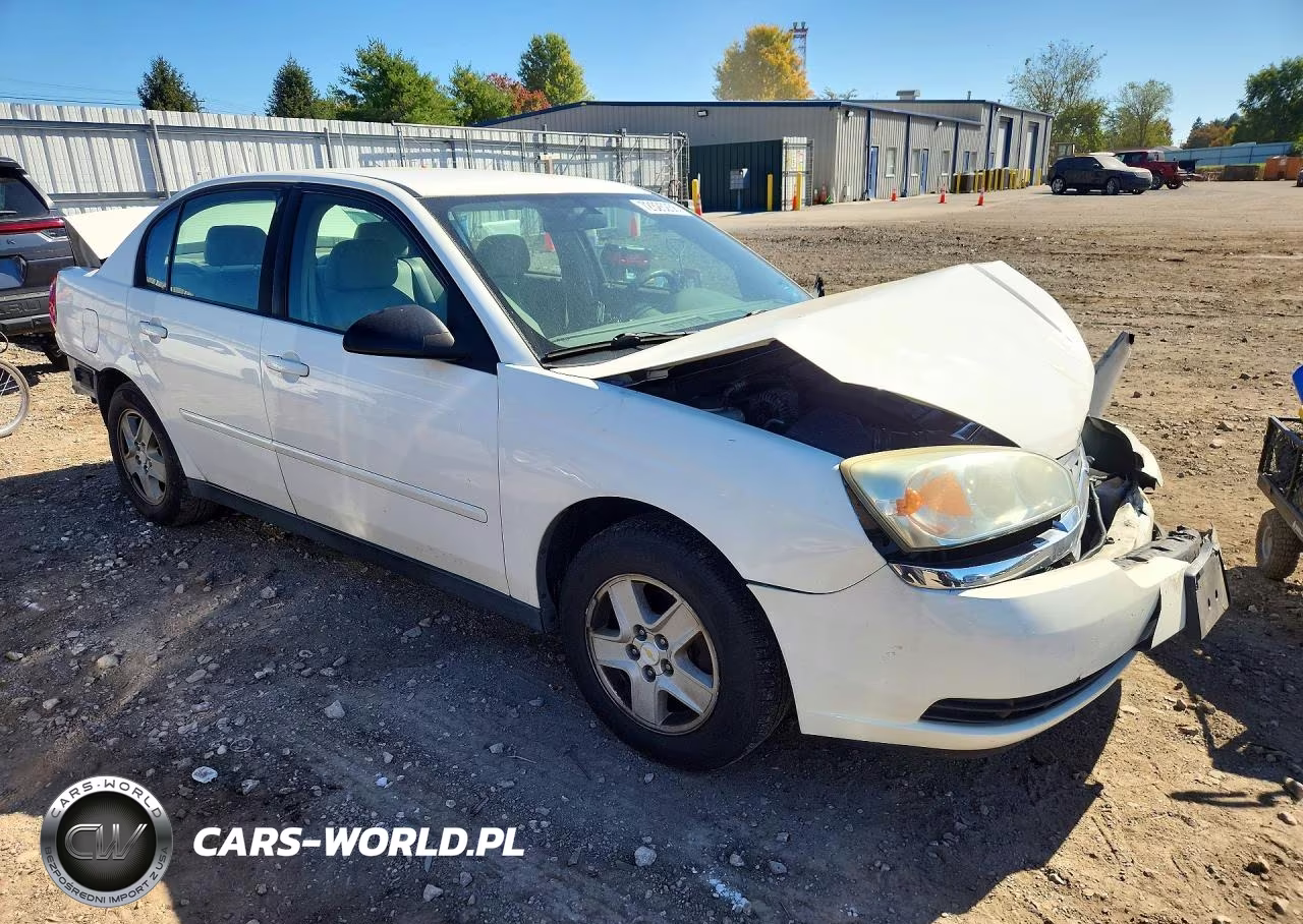 2005 Chevrolet Malibu Ls VIN:1G1ZT52865F339308 - 4