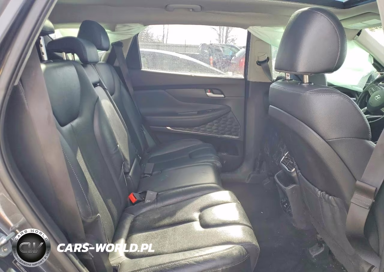 2020 Hyundai Santa Fe Limited VIN:5NMS53AD0LH269147 - 11