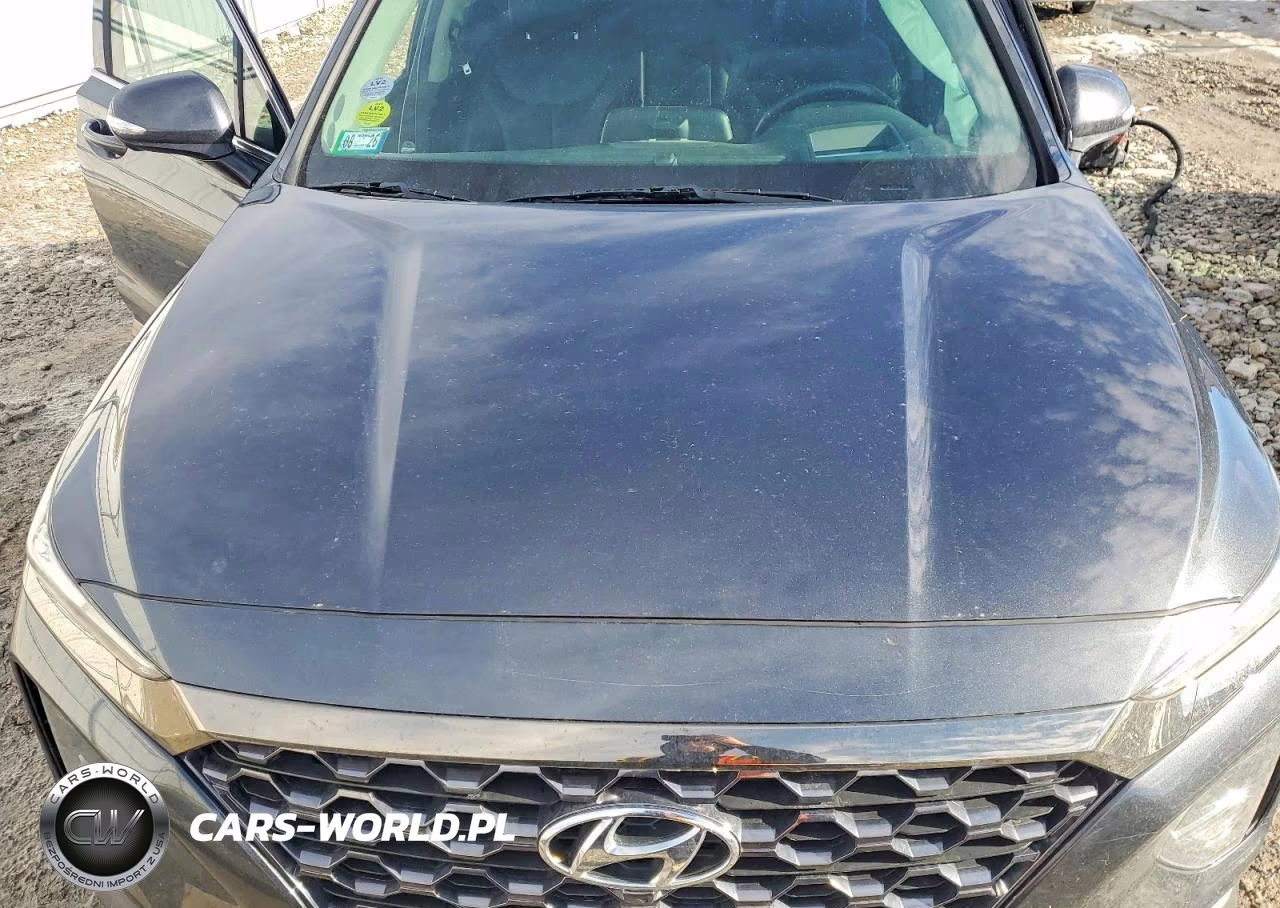 2020 Hyundai Santa Fe Limited VIN:5NMS53AD0LH269147 - 12