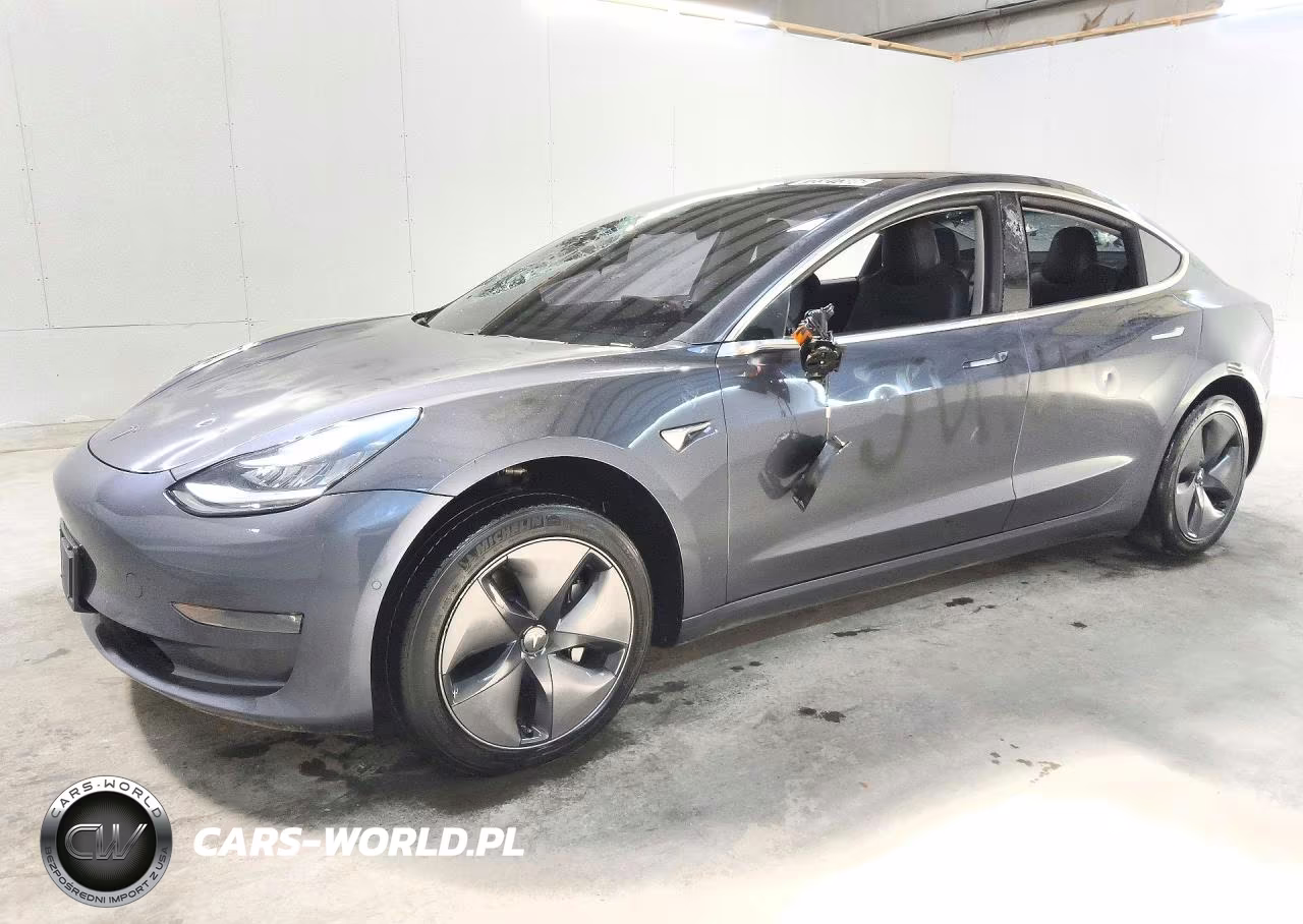 2019 Tesla Model 3 VIN:5YJ3E1EA4KF317175 - 1