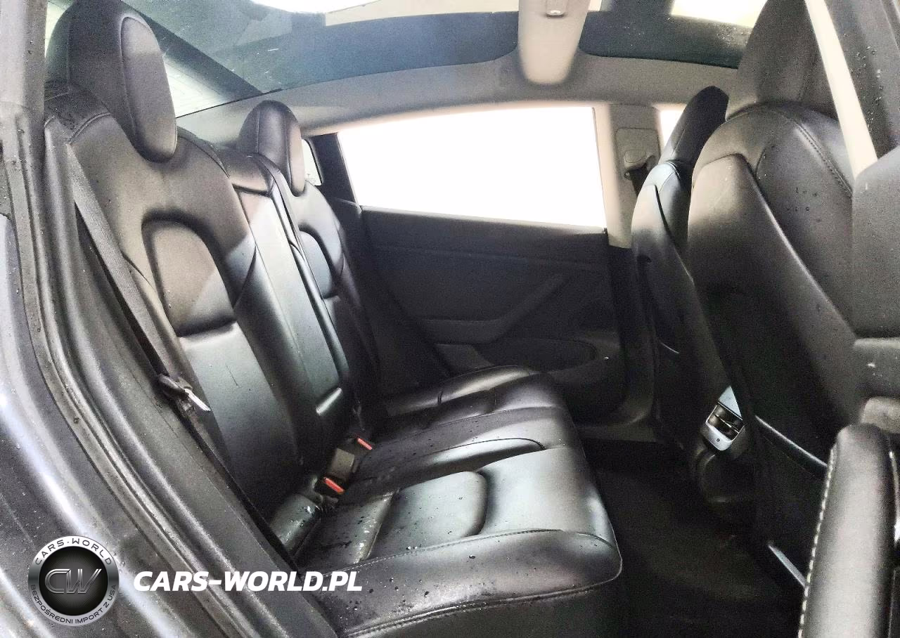 2019 Tesla Model 3 VIN:5YJ3E1EA4KF317175 - 10