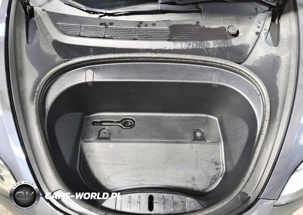 2019 Tesla Model 3 VIN:5YJ3E1EA4KF317175 - 11