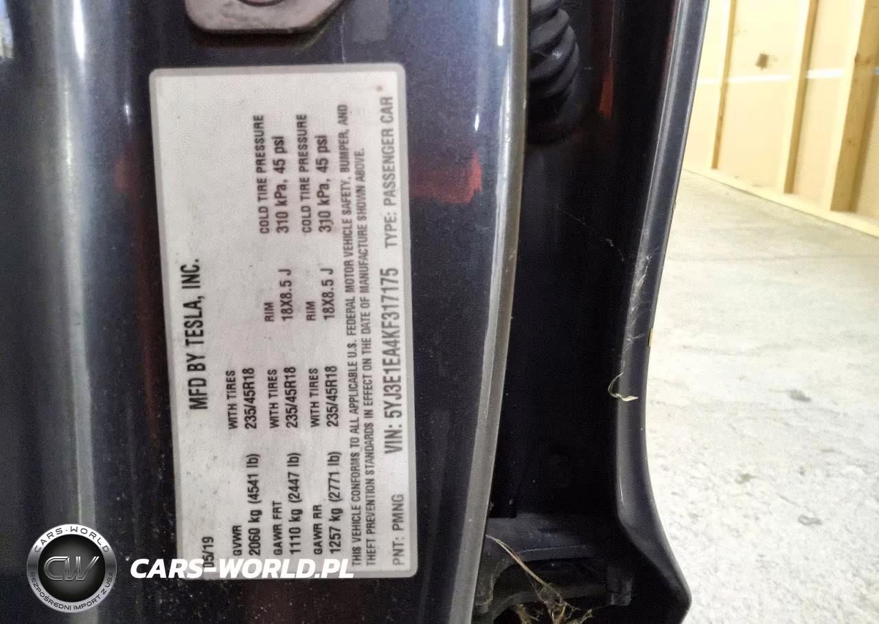 2019 Tesla Model 3 VIN:5YJ3E1EA4KF317175 - 12