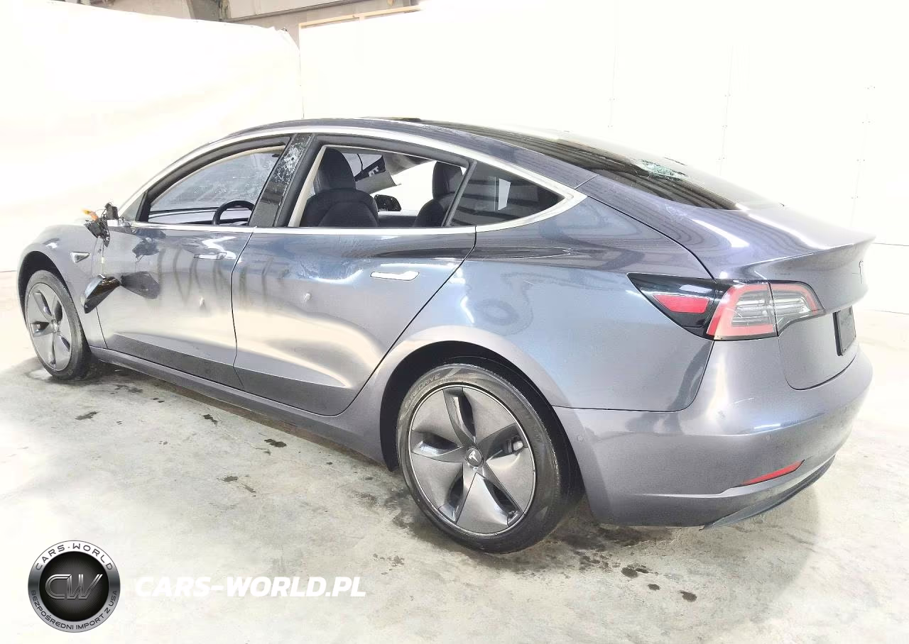 2019 Tesla Model 3 VIN:5YJ3E1EA4KF317175 - 2