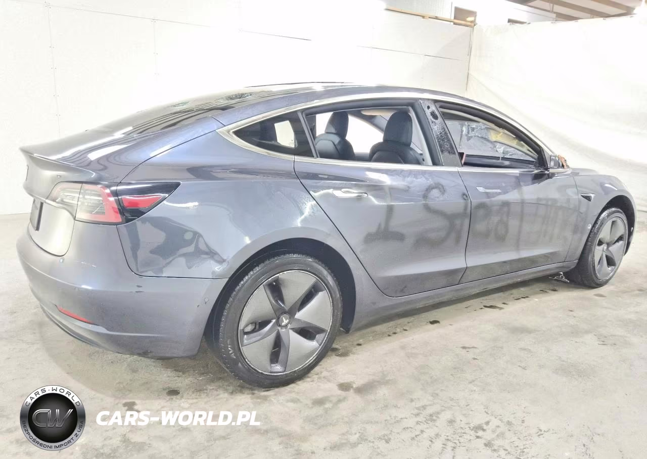 2019 Tesla Model 3 VIN:5YJ3E1EA4KF317175 - 3