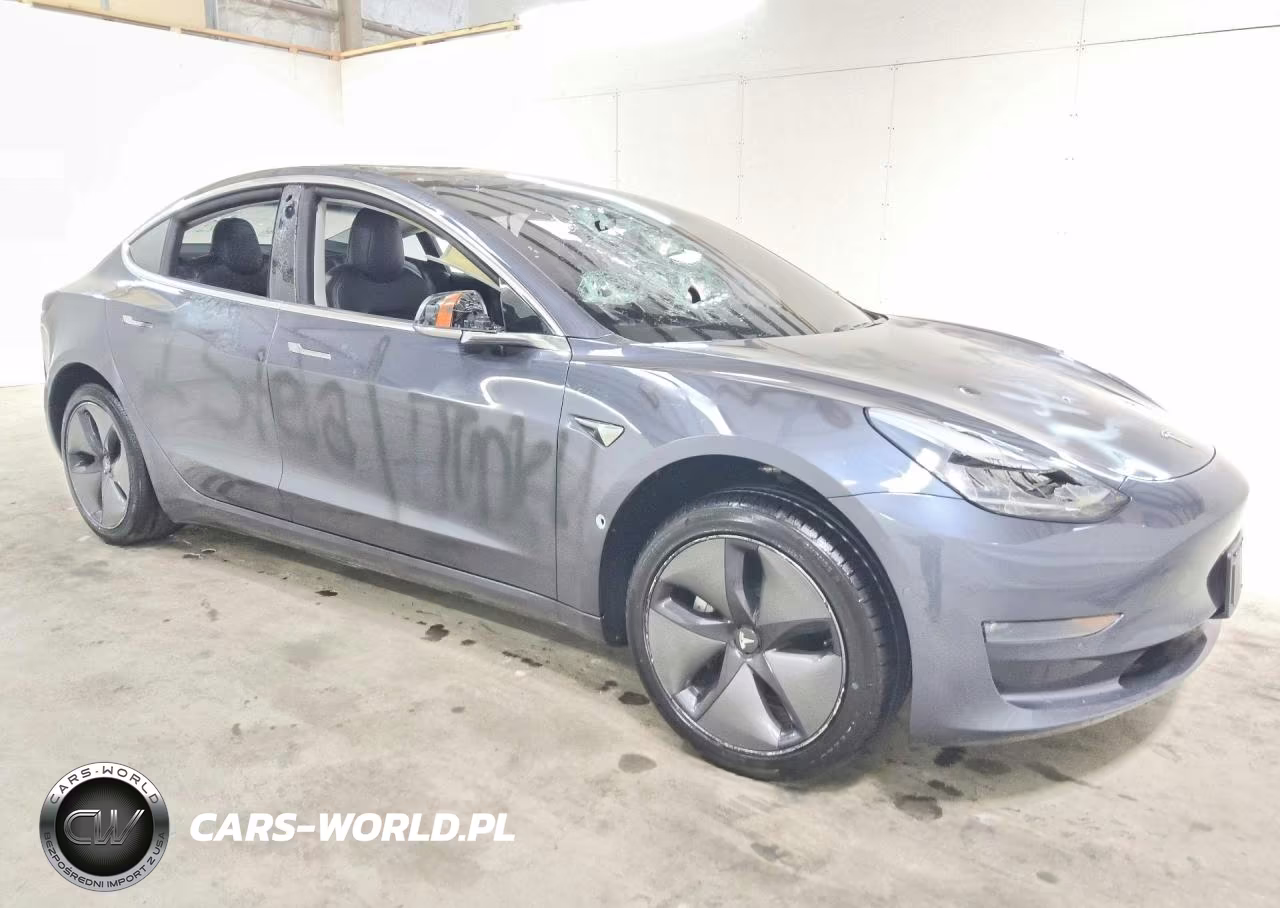 2019 Tesla Model 3 VIN:5YJ3E1EA4KF317175 - 4
