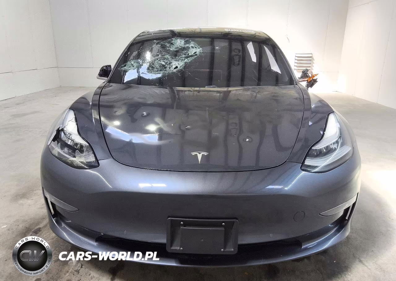 2019 Tesla Model 3 VIN:5YJ3E1EA4KF317175 - 5