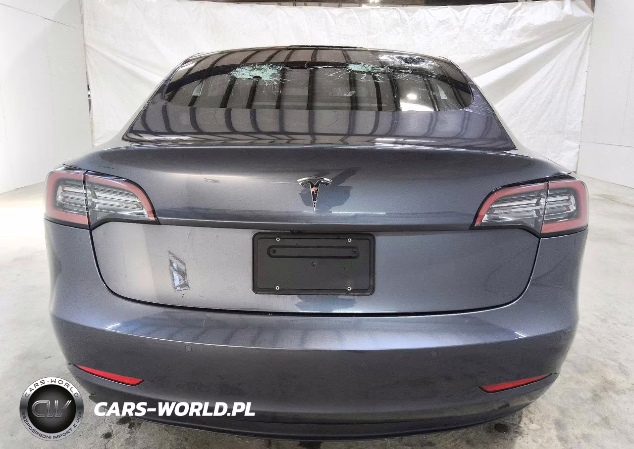 2019 Tesla Model 3 VIN:5YJ3E1EA4KF317175 - 6