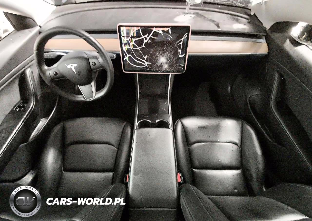 2019 Tesla Model 3 VIN:5YJ3E1EA4KF317175 - 8