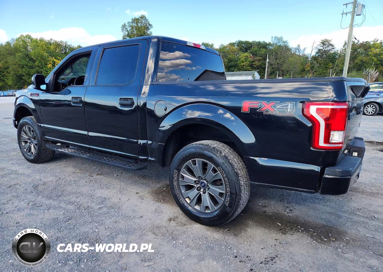 2017 Ford F150 Supercrew VIN:1FTEW1EPXHKC39197 - 2